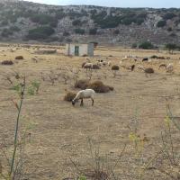 Από Γούδουρα προς Ζίρο