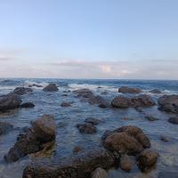 IMG_20250719_074052.jpg