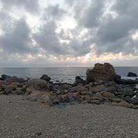 IMG_20250718_203702.jpg
