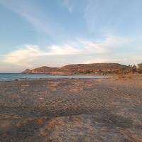 IMG_20260920_070951.jpg