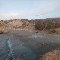 IMG_20260920_070230.jpg