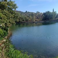 IMG_20260919_150611.jpg